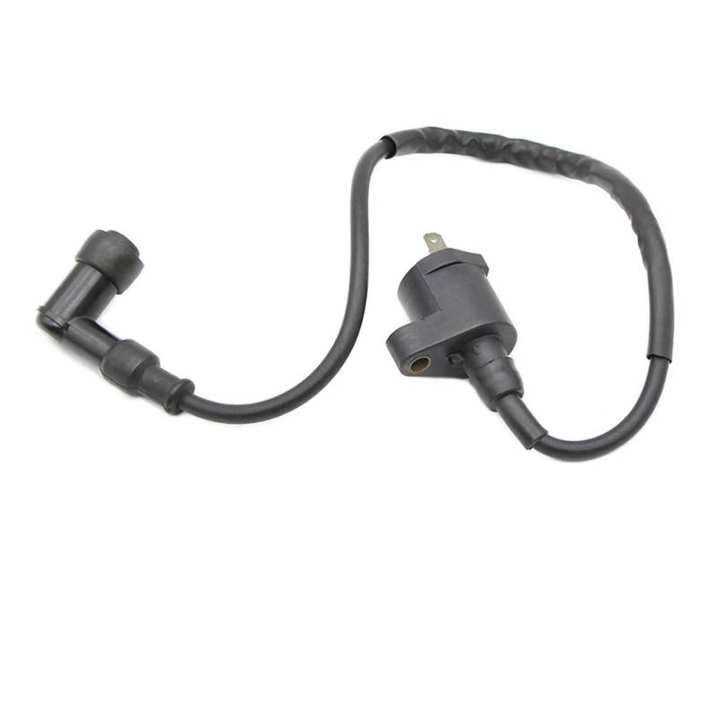 Motorrad Motorzündspule Für SYM Für Fiddle II 125 Für Jet4 125 Für Megalo 125 Für Orbit 1 125 Zündspule Assy 3051A-KHC4-900 3051A-LEJ2-E10 von ELDVSUA