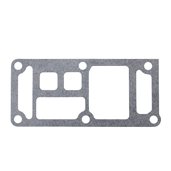 ELRING Dichtung, Ölfiltergehäuse BMW 748.811 17098004,11421709800 von ELRING