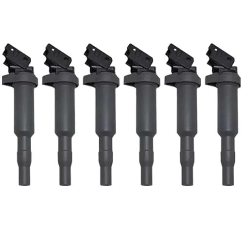 Zündspule 1-6Pcs 12137571643 12137594937 OE Auto Teile Zündspule Kompatibel for BMW MINI E46 E53 E60 E83 E90 e70 N16 N46 N52 N54 N55 N63 S63(Black) von EPNYWJTE