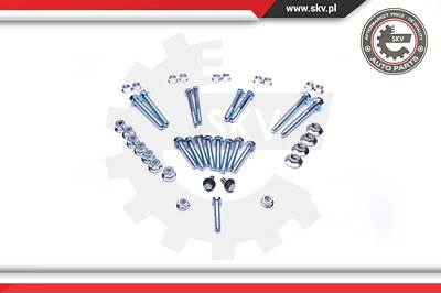Esen Skv Befestigungsbolzen, Querlenker [Hersteller-Nr. 04SKV111] für Audi, Skoda, VW von ESEN SKV