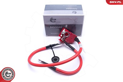 Esen Skv Batterieadapter [Hersteller-Nr. 96SKV312] für BMW von ESEN SKV