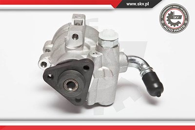 Esen Skv Hydraulikpumpe, Lenkung [Hersteller-Nr. 10SKV041] für Jeep von ESEN SKV