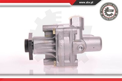 Esen Skv Hydraulikpumpe, Lenkung [Hersteller-Nr. 10SKV125] für Audi von ESEN SKV