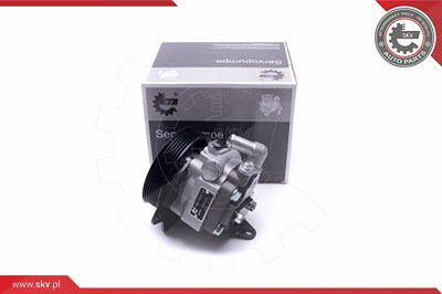 Esen Skv Hydraulikpumpe, Lenkung [Hersteller-Nr. 10SKV294] für Land Rover von ESEN SKV