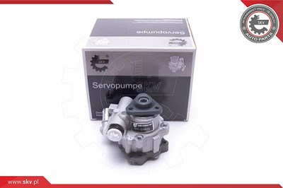 Esen Skv Hydraulikpumpe, Lenkung [Hersteller-Nr. 10SKV305] für Audi von ESEN SKV