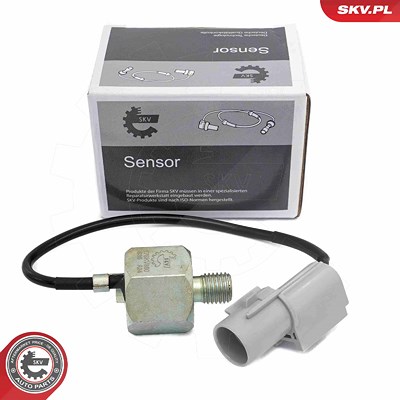 Esen Skv Klopfsensor [Hersteller-Nr. 17SKV850] für Suzuki von ESEN SKV