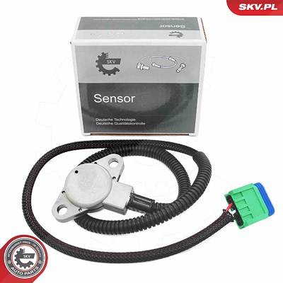 Esen Skv Sensor, Öldruck [Hersteller-Nr. 17SKV839] für Citroën, Dacia, Ds, Peugeot, Renault von ESEN SKV