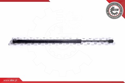 Esen Skv Gasfeder, Koffer-/Laderaum [Hersteller-Nr. 52SKV713] für Seat von ESEN SKV