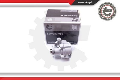 Esen Skv Hydraulikpumpe, Lenkung [Hersteller-Nr. 10SKV008] für Peugeot, Renault von ESEN SKV