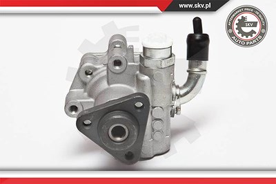 Esen Skv Hydraulikpumpe, Lenkung [Hersteller-Nr. 10SKV075] für Audi, VW von ESEN SKV