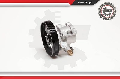 Esen Skv Hydraulikpumpe, Lenkung [Hersteller-Nr. 10SKV086] für Peugeot von ESEN SKV