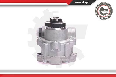 Esen Skv Hydraulikpumpe, Lenkung [Hersteller-Nr. 10SKV121] für VW von ESEN SKV