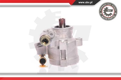 Esen Skv Hydraulikpumpe, Lenkung [Hersteller-Nr. 10SKV126] für Ford von ESEN SKV