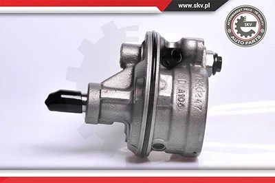 Esen Skv Hydraulikpumpe, Lenkung [Hersteller-Nr. 10SKV128] für Chrysler von ESEN SKV