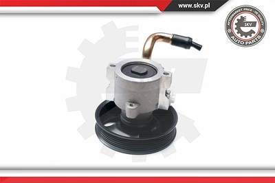 Esen Skv Hydraulikpumpe, Lenkung [Hersteller-Nr. 10SKV134] für Gm Korea von ESEN SKV