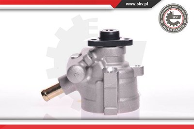 Esen Skv Hydraulikpumpe, Lenkung [Hersteller-Nr. 10SKV141] für Fiat, Lancia von ESEN SKV