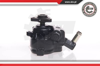 Esen Skv Hydraulikpumpe, Lenkung [Hersteller-Nr. 10SKV144] für Ford von ESEN SKV