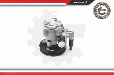 Esen Skv Hydraulikpumpe, Lenkung [Hersteller-Nr. 10SKV204] für Hyundai von ESEN SKV