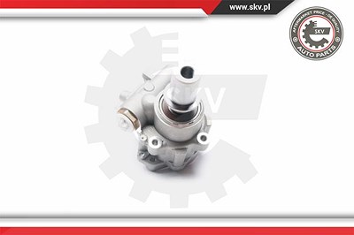 Esen Skv Hydraulikpumpe, Lenkung [Hersteller-Nr. 10SKV217] für Fiat, Lancia von ESEN SKV