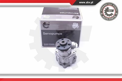 Esen Skv Hydraulikpumpe, Lenkung [Hersteller-Nr. 10SKV247] für BMW von ESEN SKV