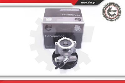 Esen Skv Hydraulikpumpe, Lenkung [Hersteller-Nr. 10SKV250] für Citroën von ESEN SKV