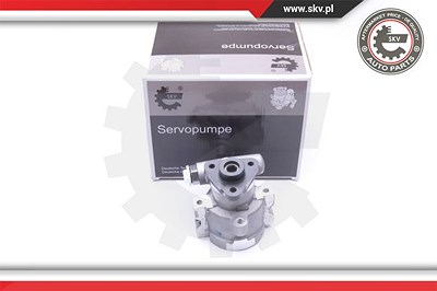 Esen Skv Hydraulikpumpe, Lenkung [Hersteller-Nr. 10SKV252] für Ford von ESEN SKV