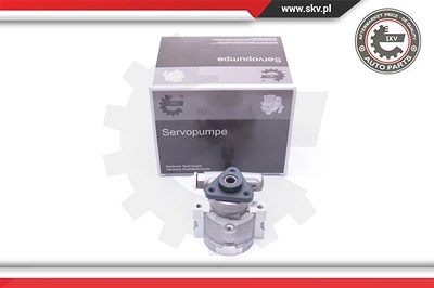 Esen Skv Hydraulikpumpe, Lenkung [Hersteller-Nr. 10SKV258] für Ford von ESEN SKV