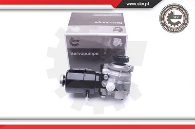 Esen Skv Hydraulikpumpe, Lenkung [Hersteller-Nr. 10SKV274] für Mitsubishi von ESEN SKV