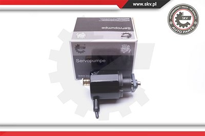 Esen Skv Hydraulikpumpe, Lenkung [Hersteller-Nr. 10SKV280] für Rover von ESEN SKV