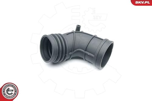 Luftfilter Ansaugschlauch Für BMW Z3 E36 E46 Cabriolet Coupe Kombi 13541705209 von ESEN SKV