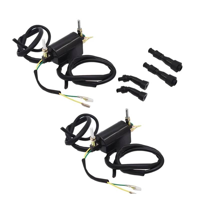 Zündspulenmodul Zündspule Zündspulensatz 12 Volt 12V Für Suzuki GS550/GS750 Für Katana 1100 GSX1100F von ESSUE