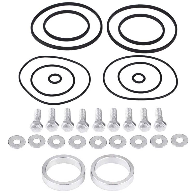 Twin Double Dual Seals Rattle Repair Upgrade Kit Gutes Ptfe-Material für Vanos M52tu M54 M56 von ETAINGYEUN