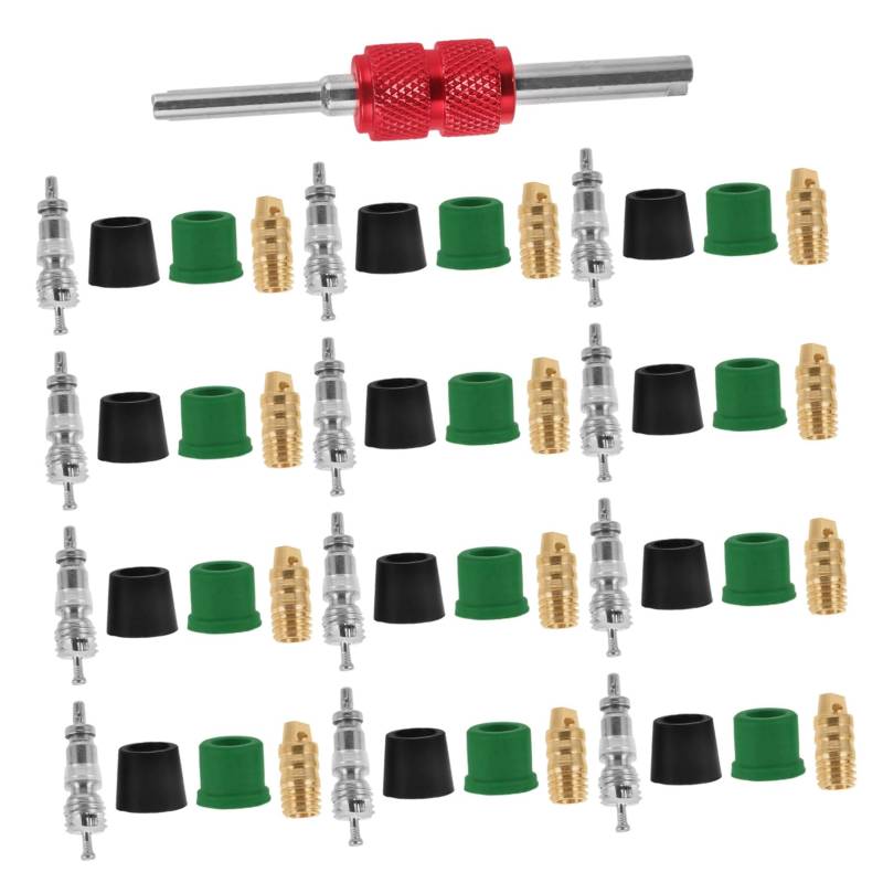 ETHZZLE Auto-klimaanlagen-reparatur-werkzeug-set, 71-teiliges Klimaanlagen-dichtungsdichtungs-autoreifen-ventilschaftkern-entferner-werkzeug, Ventil-entferner-installer-reparatur-werkzeug von ETHZZLE