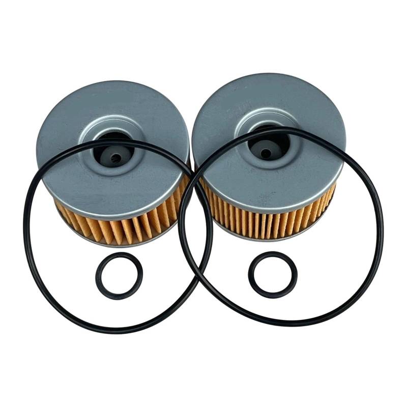 Motorrad Öl Filter for DR650SE 97-14 DS650S 92-93 LS65086-09 S40 05-19 XF650 97-02 DR750S 88-89 DR800S 88-00(2pcs) von ETLIN