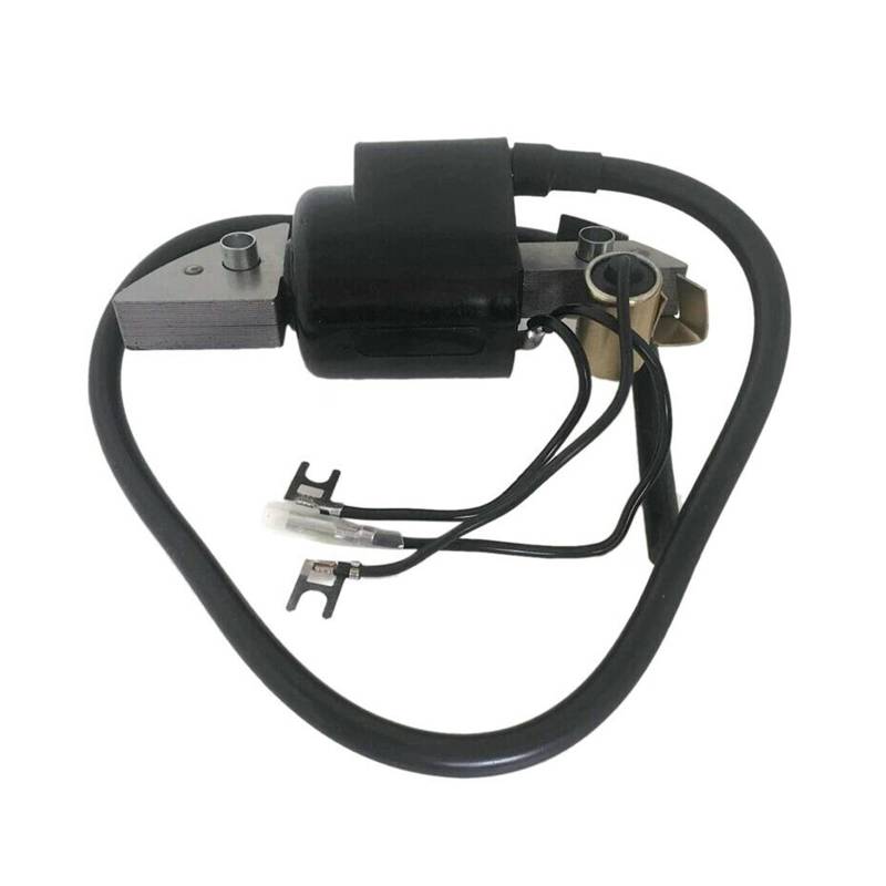 CVBFGH Aftermarket-Zündspulenmodul F400 F500 FR500 F600 WT20 von ETQWDXOL