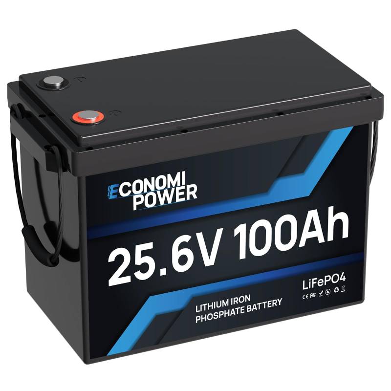 EconomiPower Mini LiFePO4 100Ah 24V Batterie, 2560Wh Lithiumbatterie mit 100A BMS, 8000+ Tiefenladezyklen, Perfekt für Wohnmobile, Vans, Trolling Motor, Boote und Solare Heimanlagen von EconomiPower