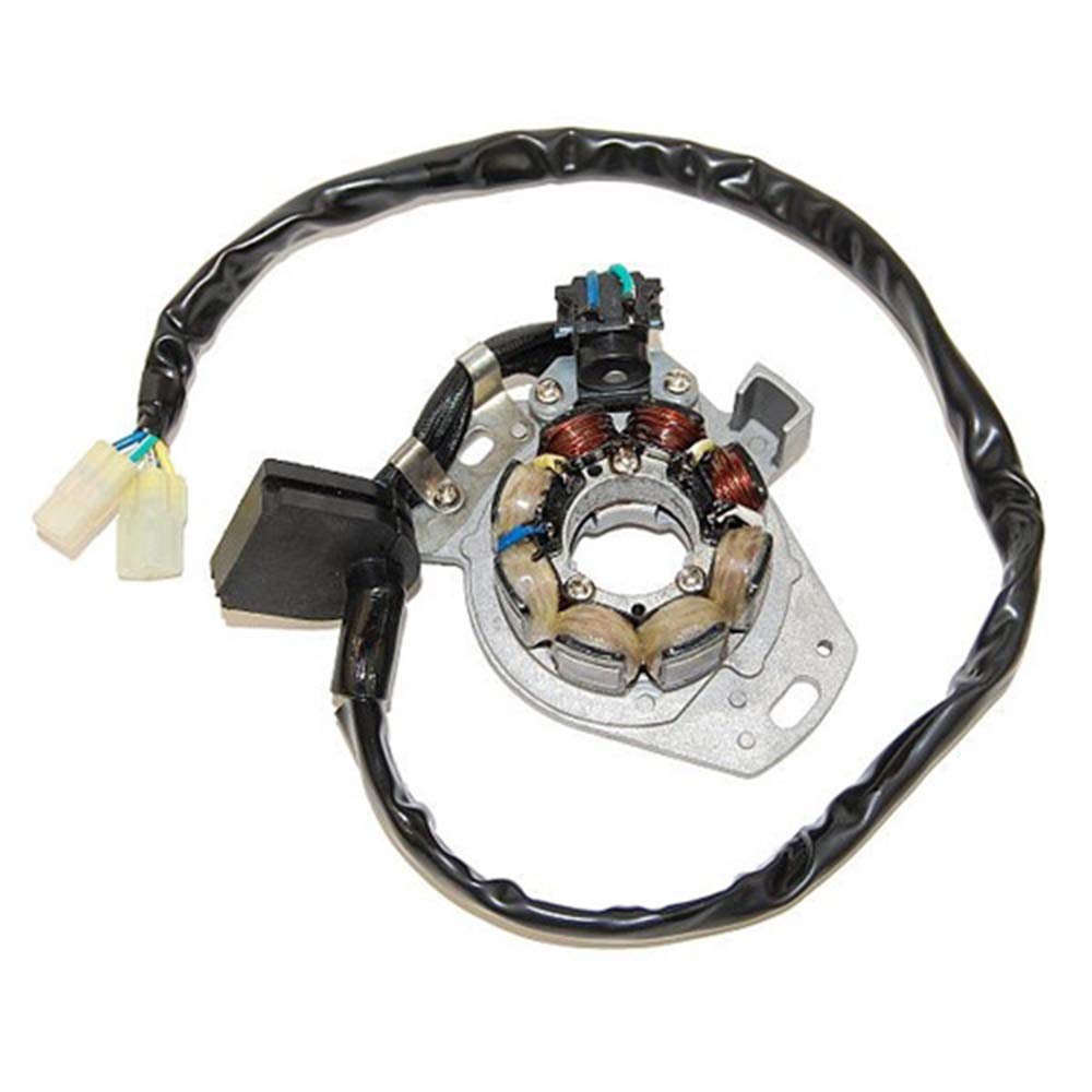 ElectroSport ESC970 Stator CR250R von ElectroSport