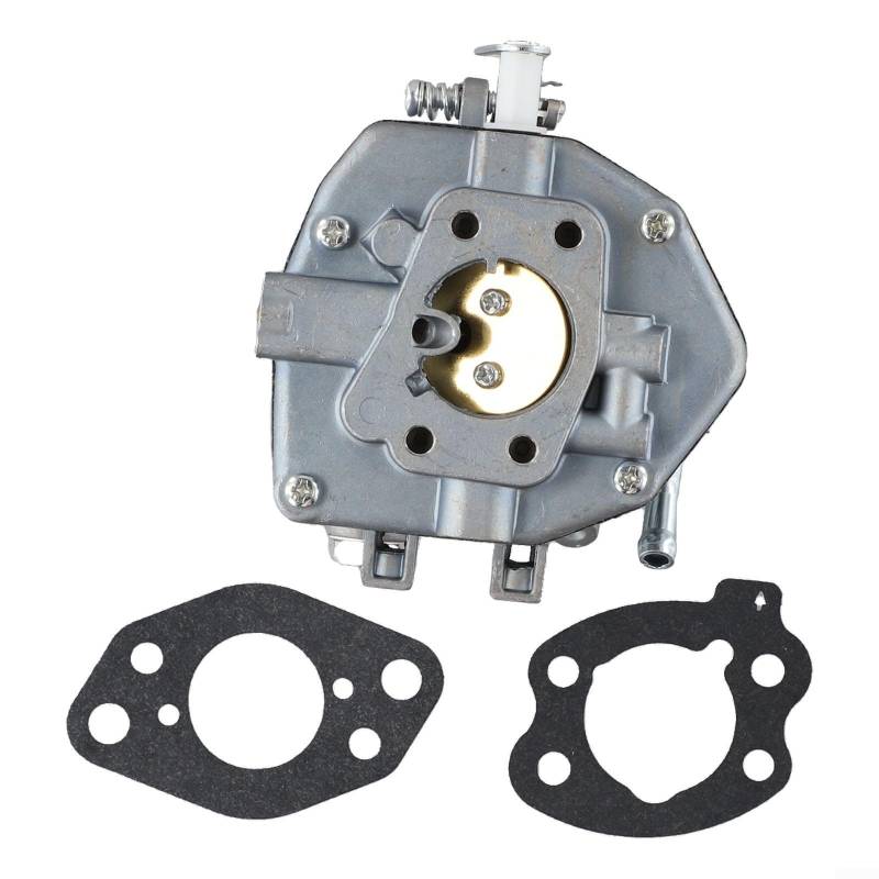 Emiif Vergaser-Ersatzteile mit Dichtungen für Vanguard-Motor 18 PS 17 PS 16 PS für 350447 356447 846109 809017 808370 von Emiif