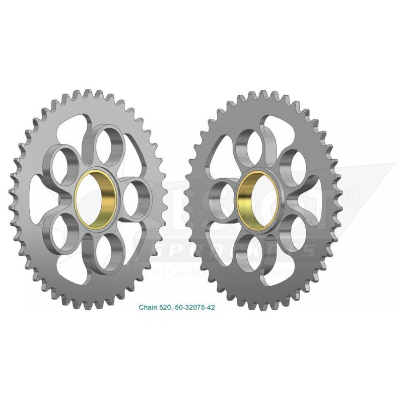 Esjot Kettenrad 520 38Z Stahl Silber von Esjot