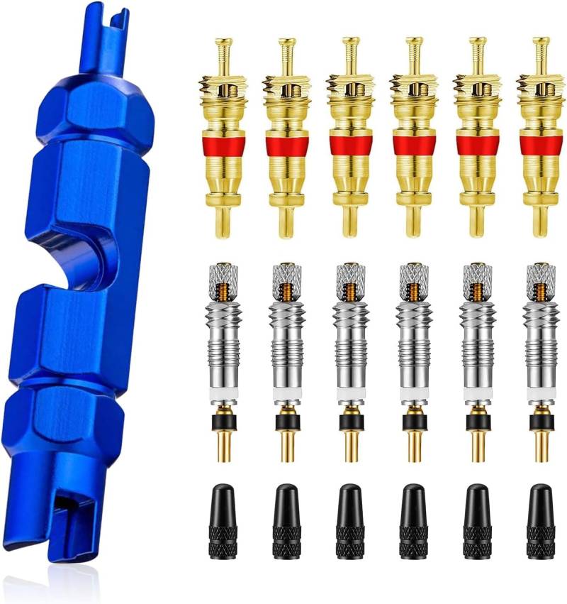 Ventilschlüssel Fahrrad, Fahrrad Ventil-Einsatz, Französisches Ventil Sclaverand Presta Ventileinsatz, Schrader Valve Core, Ventilkappen, Presta Schrader Konverter, Ventilkernentferner-Werkzeug von Esteopt