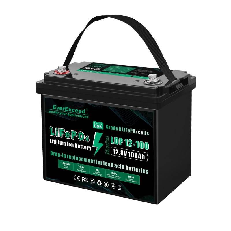 EverExceed 12V 100AH LiFePO4 Batterie, LiFePO4 Batterie mit Grade A LiFePO4 Zelle, Niedertemperatur-Abschaltschutz, 12V Lithiumbatterie eingebaut 100A BMS, bis zu 15000 tiefe Zyklen für RV, Marine von EverExceed