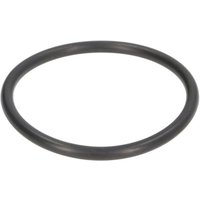 Dichtung O-Ring für Wagenheberzylinder EVERT ZL207101027 von Evert