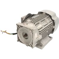 Elektromotor 380-400V/2, EVERT EVERTZL320201004 von Evert