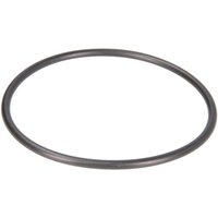 O-Ring-Dichtung für Hydraulikzylinder, 109x5.3, für Wagenheber EVERT ZL207101010 von Evert