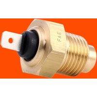 FAE Kühlmitteltemperatursensor 31140 Kühlmittelsensor,Kühlmitteltemperatur-Sensor FIAT,SEAT,ALFA ROMEO,Seicento / 600 Schrägheck (187_) von FAE