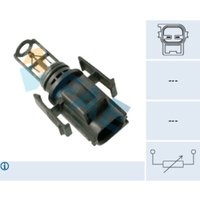 Sensor, Ansauglufttemperatur FAE 33178 von FAE