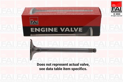 Fai Autoparts Einlassventil [Hersteller-Nr. IV8930] für Alfa Romeo, Chevrolet, Chrysler, Fiat, Ford, Lancia, Opel, Subaru, Suzuki, Tata, Vauxhall von FAI AutoParts