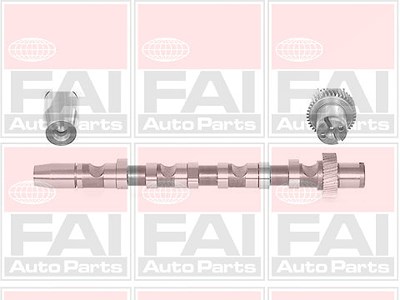 Fai Autoparts Nockenwelle [Hersteller-Nr. C244] für Audi, Skoda, VW von FAI AutoParts