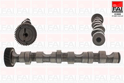 Fai Autoparts Nockenwelle [Hersteller-Nr. C247] für Audi, Skoda, VW von FAI AutoParts