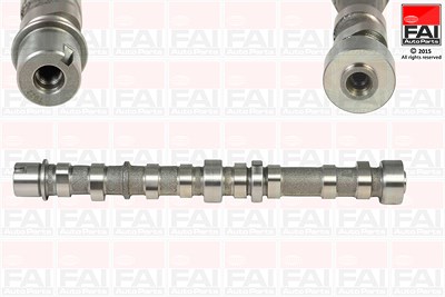 Fai Autoparts Nockenwelle [Hersteller-Nr. C254] für Alfa Romeo, Citroën, Fiat, Lancia, Opel, Peugeot, Suzuki von FAI AutoParts